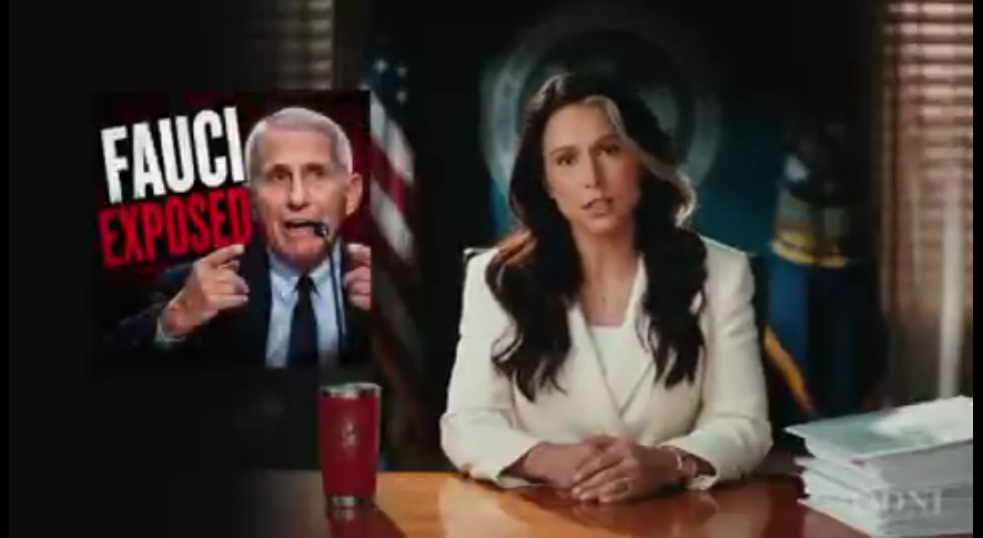 DNI Tulsi Gabbard on Final DAy will release never-before-seen Dr. Fauci docs and communications