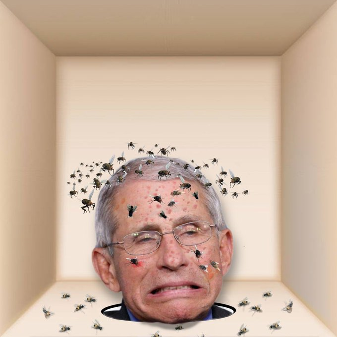 1782648749404-lxzog4.png